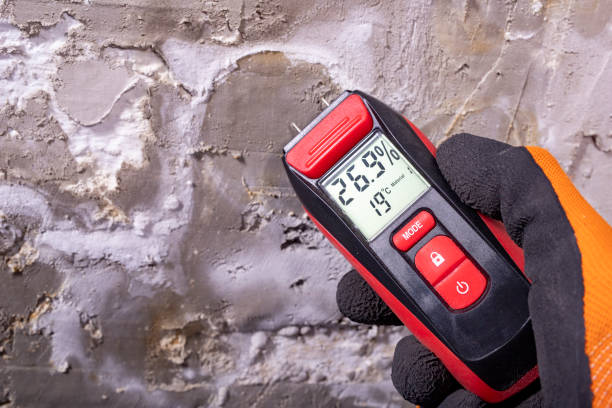 Best Attic Mold Removal  in Reading, PA